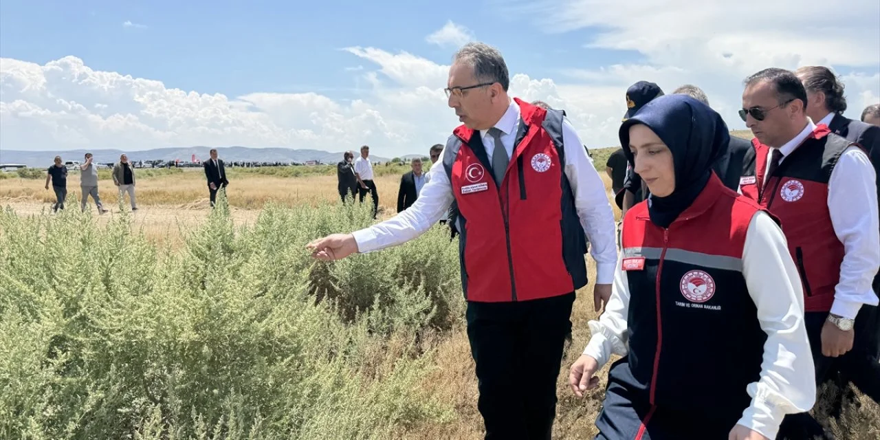 Selçuk Üniversitesi danışmanlığındaki projeyle bin 730 dekar mera üretime kazandırıldı